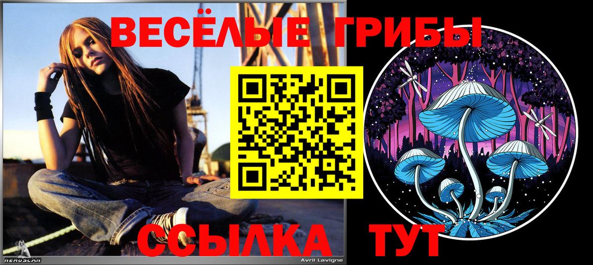 Псилоцибиновые грибы GOLDEN TEACHER Михайловка