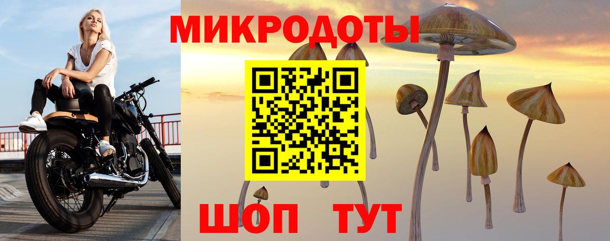 Михайловка  Галлюциногенные грибы GOLDEN TEACHER  продажа наркотиков  Вход с VPN 